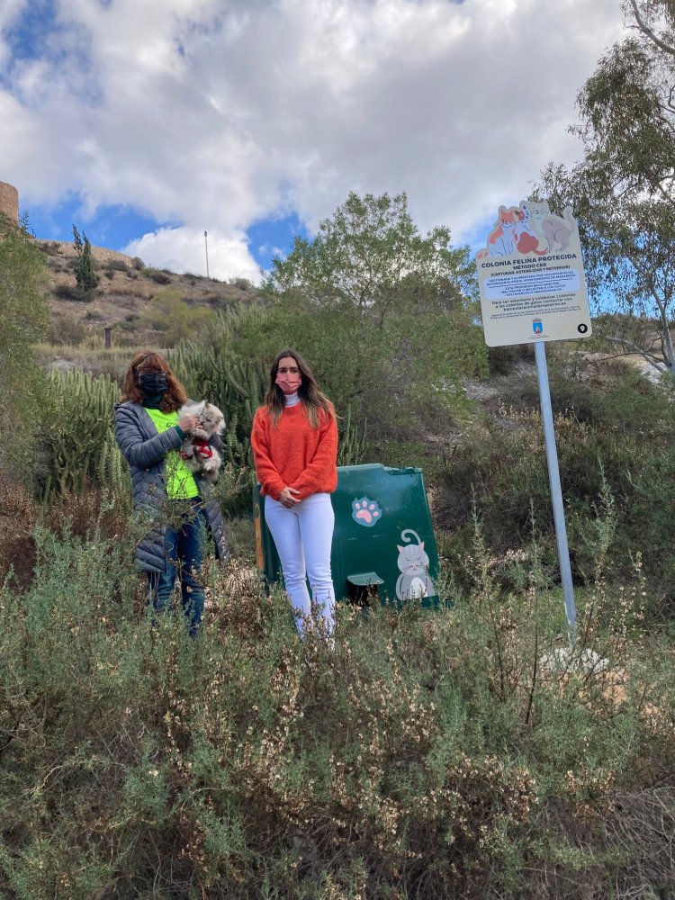 EL AYUNTAMIENTO DE MAZARRÓN A TRAVÉS DE LA CONCEJALÍA DE BIENESTAR ANIMAL SIGUE CON SU COMPROMISO EN EL CONTROL DE LAS COLONIAS FELINAS