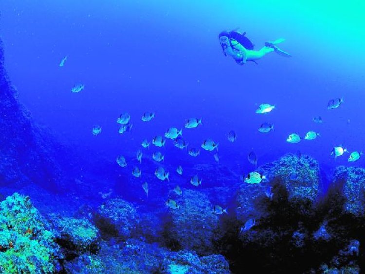 LA PLAYA DEL MOJÓN DE MAZARRÓN TENDRÁ UN MUSEO SUBACUÁTICO PARA IMPULSAR EL TURISMO DE BUCEO