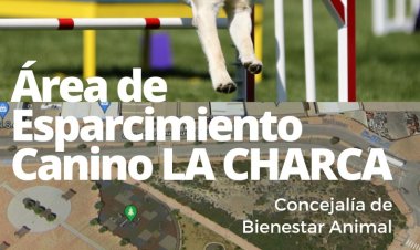 BIENESTAR ANIMAL | Puerto de Mazarrón contará con la primera área de esparcimiento canino del municipio