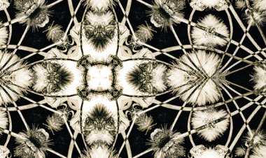 INAUGURACIÓN DE LA EXPOSICIÓN "DESERT GARDEN" DEL ARTISTA MAZARRONERO LUIS MARINO