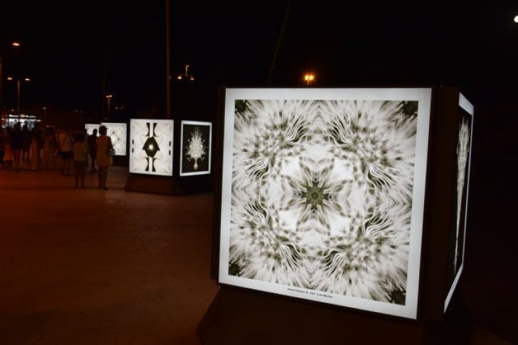 INAUGURACIÓN DE LA EXPOSICIÓN DEL ARTISTA MAZARONERO LUIS MARINO “DESERT GARDEN”