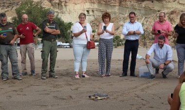 LIBERACIÓN DE UNA TORTUGA BOBA EN LA PLAYA DE BOLNUEVO TRAS SER TRATADA EN EL CENTRO DE RECUPERACIÓN DE FAUNA SILVESTRE