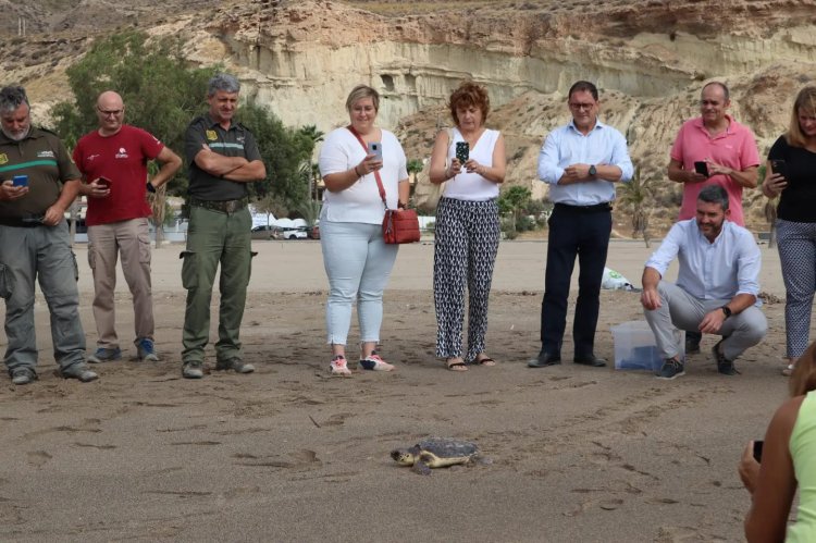 LIBERACIÓN DE UNA TORTUGA BOBA EN LA PLAYA DE BOLNUEVO TRAS SER TRATADA EN EL CENTRO DE RECUPERACIÓN DE FAUNA SILVESTRE