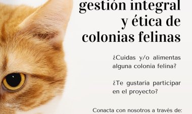 La Concejalía de Bienestar animal y la asociación APROAMA, llevan dos años desarrollando el método CER en el municipio