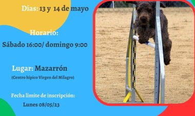 DEPORTES I CAMPEONATO DE AGILITY EN MAZARRÓN