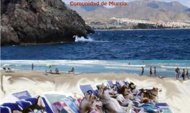 XI CONCURSO NACIONAL CANINO DE MAZARRÓN