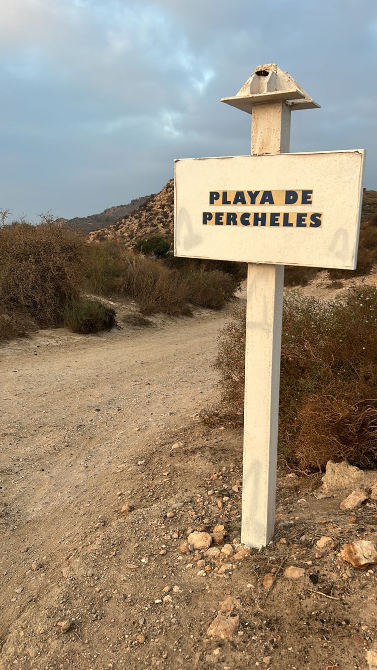 PERCHELES. El Ayuntamiento de Mazarrón entra en Percheles para restablecer la legalidad.