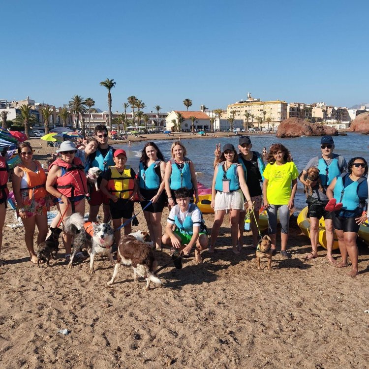 Gracias a todos los que se unieron a la ruta en kayak canina este fin de semana. ¡Fue un éxito rotundo!