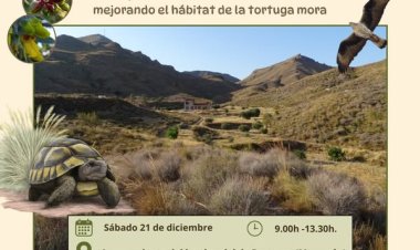 Este diciembre el Ayuntamiento de Mazarrón y ANSE te invitan a disfrutar de dos jornadas únicas para amantes de la naturaleza. ¡No te las pierdas!