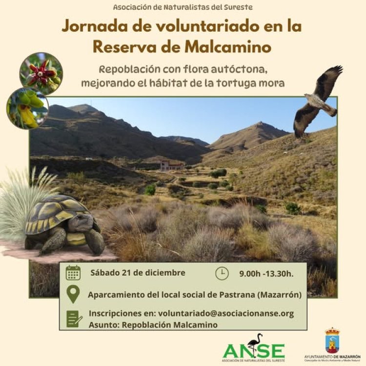 Este diciembre el Ayuntamiento de Mazarrón y ANSE te invitan a disfrutar de dos jornadas únicas para amantes de la naturaleza. ¡No te las pierdas!