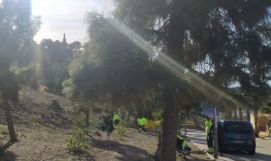 FINALIZA EL PROYECTO HORTUS VIRIDI DE FORMACIÓN Y PROFESIONALIDAD EN INSTALACIÓN Y MANTENIMIENTO DE ZONAS VERDES