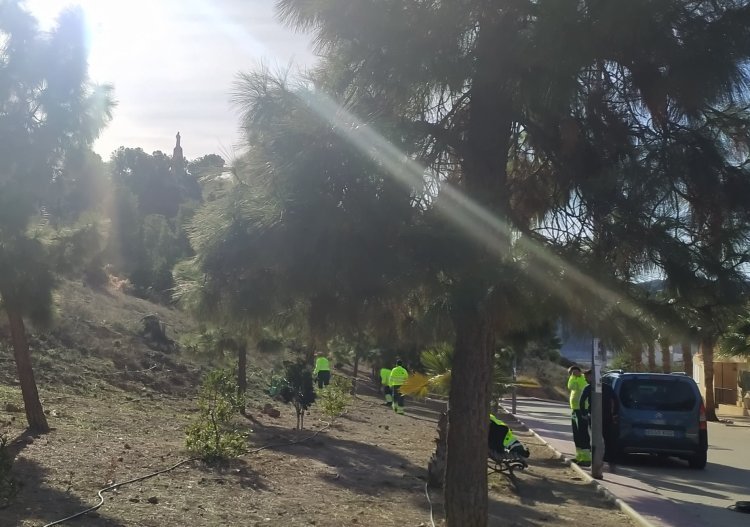 FINALIZA EL PROYECTO HORTUS VIRIDI DE FORMACIÓN Y PROFESIONALIDAD EN INSTALACIÓN Y MANTENIMIENTO DE ZONAS VERDES