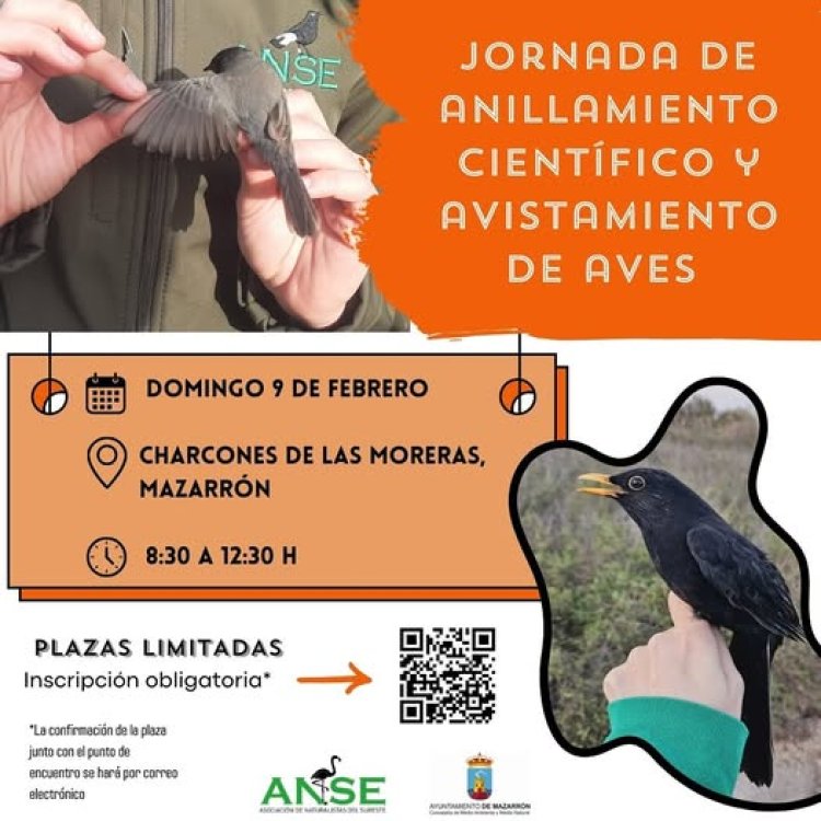 Este domingo se realizará una nueva jornada de anillamiento científico y avistamiento de aves en los Charcones de las Moreras de Mazarrón. ¡No te lo pierdas y ven a conocer la biodiversidad de aves de este complejo ecosistema!