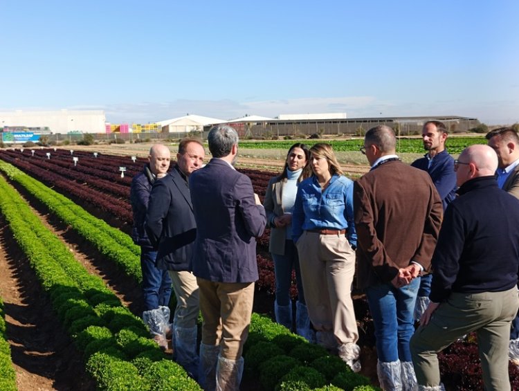 La investigación agraria en el Imida permite registrar 29 nuevas variedades de frutas en los últimos diez años