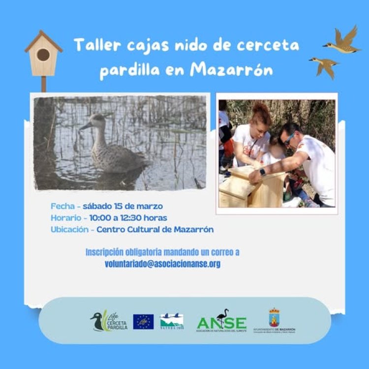 No te pierdas este fin de semana el taller de construcción de cajas nido para cerceta pardilla en el Centro Cultural de Mazarrón. Colabora en la mejora del hábitat del pato más amenazado de Europa.