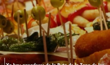 Listado de ganadores de la Ruta de la Tapa de las Fiestas de San José 2025