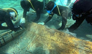 La memoria técnica sobre el pecio fenicio Mazarrón 2 destaca el avance en la identificación de las especies vegetales utilizadas en su construcción