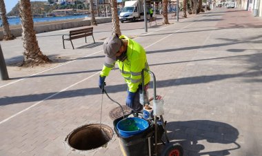 El Ayuntamiento de Mazarrón lleva a cabo más trabajos para controlar las plagas de roedores y cucarachas
