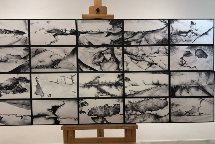 El alcalde de Mazarrón, Ginés Campillo, ha asistido como invitado de honor a la inauguración de la exposición “Susaña, paisaje detenido”, del artista mazarronero Luis Marino, en el Museo Arqueológico de Murcia.