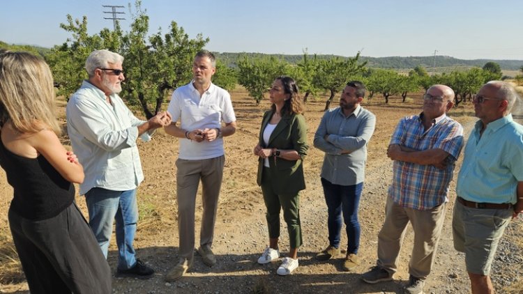 El Gobierno regional publica la convocatoria de ayudas por valor de 4,5 millones para los productores de almendro afectados por la sequía