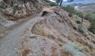 El Gobierno regional refuerza la vigilancia forestal y la prevención de incendios con un ambicioso proyecto en Lorca, Totana y Mazarrón
