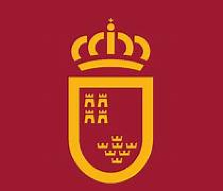 El Gobierno regional insiste en el "ocultismo y la falta de información" del Ministerio sobre el reparto de menores migrantes