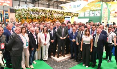 La exportación de frutas y hortalizas de la Región ha aumentado casi un 9 por ciento en lo que va de año