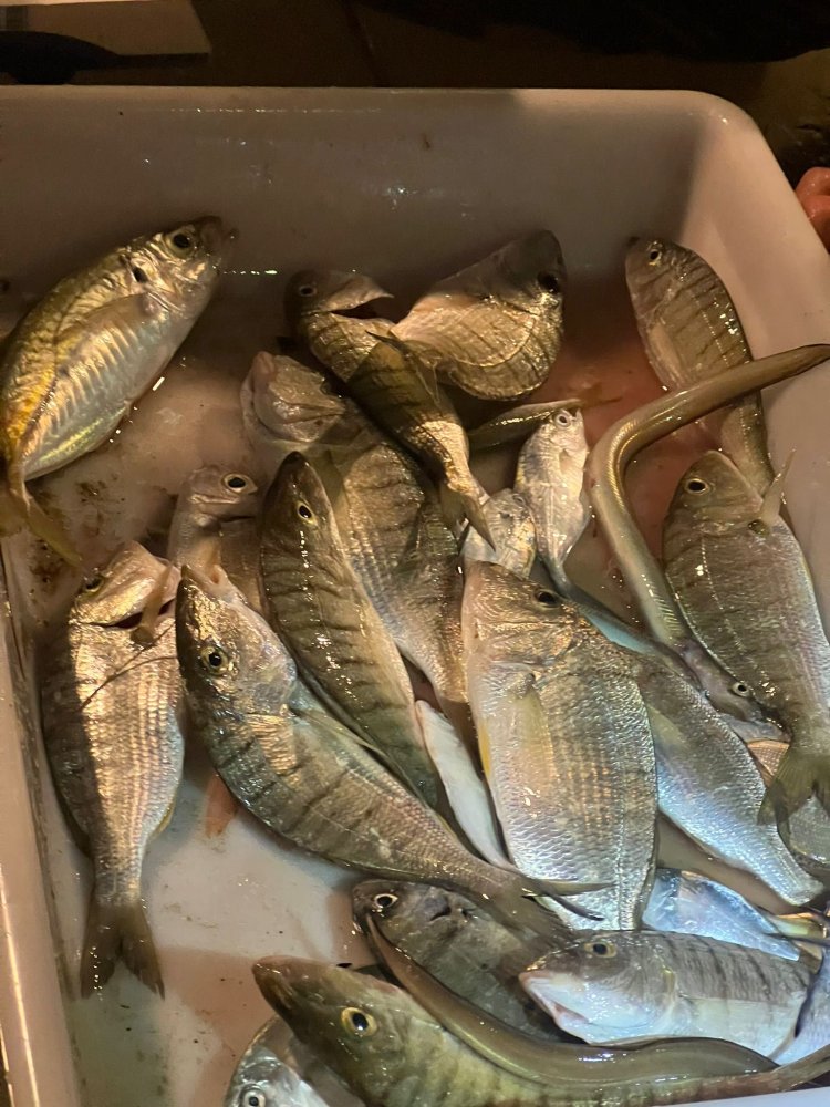 Jesús Rodríguez y José Antonio Fernández, de Melilla, se coronan campeones del XIX Open Nacional de Pesca Bahía de Mazarrón