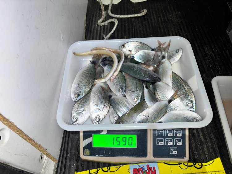 PAKICO SE LANZA A POR EL PODIUM