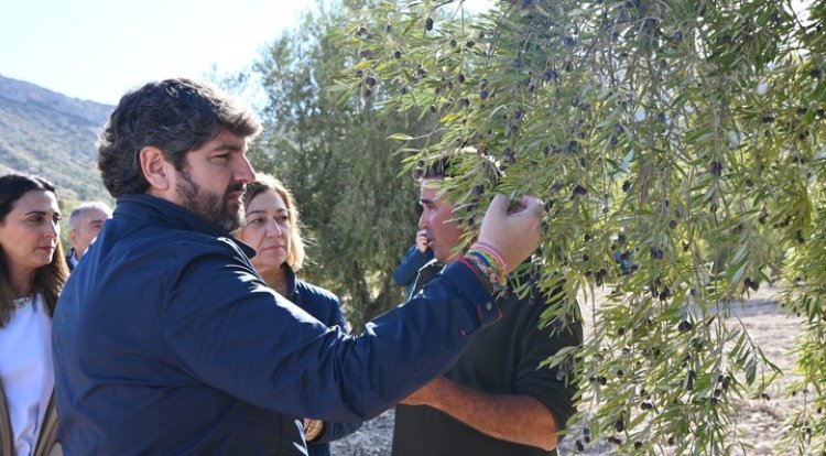 López Miras anuncia 7 millones de euros en ayudas a agricultores y ganaderos por la sequía