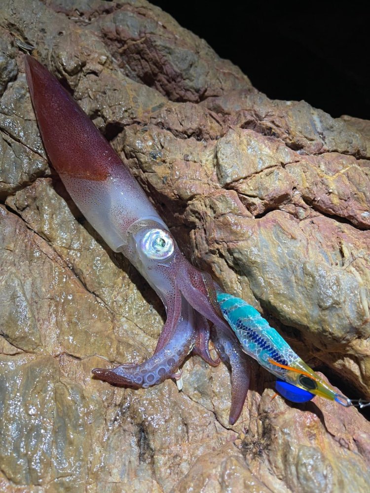 ANDRÉS PÉREZ CONTINÚA EN RACHA EN LA LIGA DE EGING DEL CLUB DE PESCA PUERTO DE MAZARRÓN