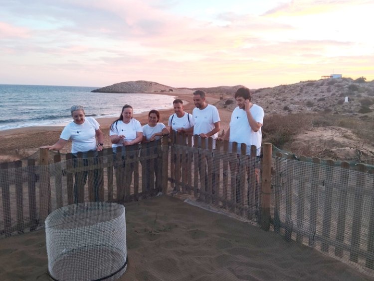 El Gobierno regional destaca la labor esencial del voluntariado de Territorio Tortuga en la conservación de la tortuga boba