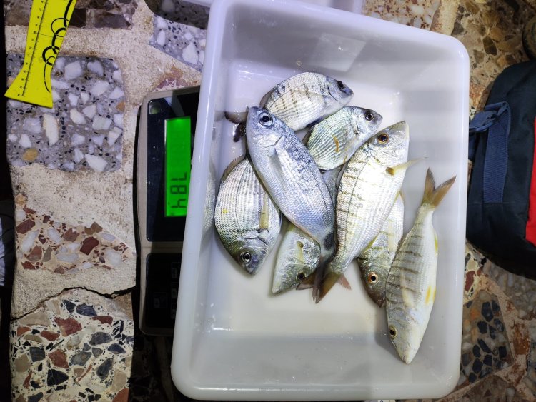 MARCOS ARTERO SE HACE CON EL PRIMER SOCIAL DE 2026