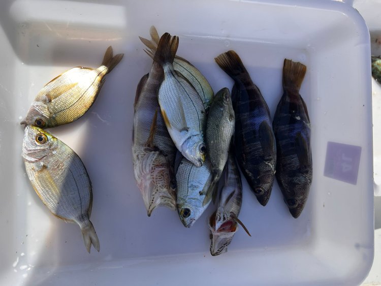 JUAN JOSÉ MTEZ SE HACE CON EL SEGUNDO SOCIAL DEL CLUB DE PESCA PUERTO DE MAZARRÓN