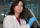 El proyecto SAFE-PFAS, liderado por la investigadora mazarronera Isabel Mª Martínez Alcalá, ha sido seleccionado como semifinalista en la Focus Country Window del BBSEA Eco-Innovation Challenge.