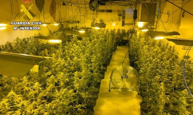 La Guardia Civil desmantela en Mazarrón un grupo delictivo que cultivaba y distribuía grandes cantidades de marihuana