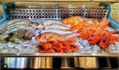 ¿Buscando donde comer en el Puerto de Mazarrón? Aquí te dejamos un enlace a una guia de restaurantes donde puedes degustar diferentes tipos de comida.