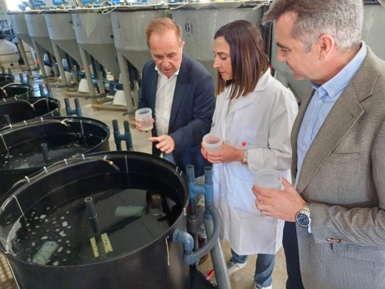 La Comunidad potencia la investigación en acuicultura de especies alternativas para el sector