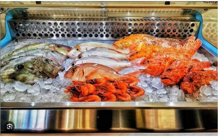 ¿Buscando donde comer en el Puerto de Mazarrón? Aquí te dejamos un enlace a una guia de restaurantes donde puedes degustar diferentes tipos de comida.