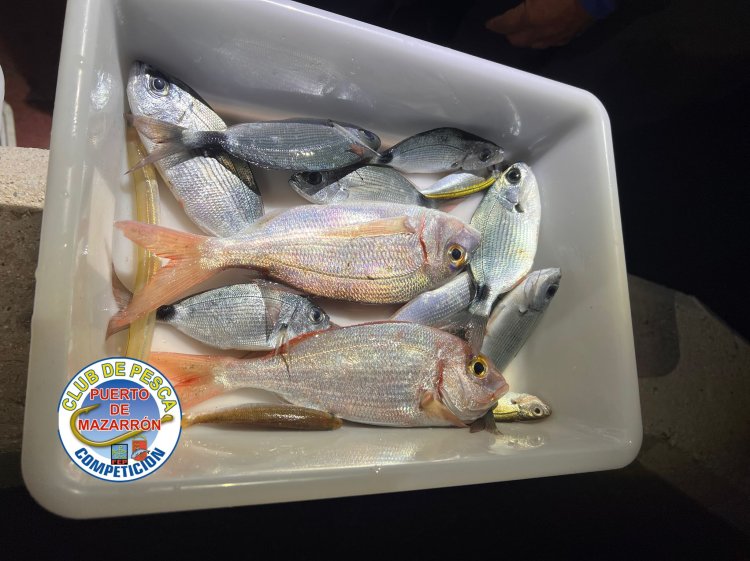 Raúl Muñoz comienza la remontada en el quinto social del Club de Pesca Puerto de Mazarrón