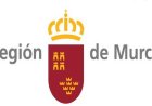 Acuerdo del Consego de Gobierno de la Carm, para la tramitación del recurso contra el procedimiento extraordinario de regulación de inmigrantes en situación irregular