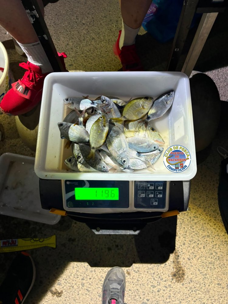 PAKICO RESURGE CON UN GOLPE EN LA MESA