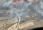 Servicios de emergencias trabajan en un incendio forestal en La Pinilla, pedanía de Fuente Álamo.