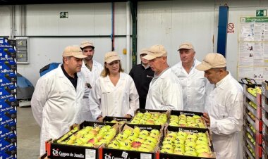 El Gobierno regional impulsa la competitividad del sector hortofrutícola con 89,7 millones de euros en ayudas a los productores