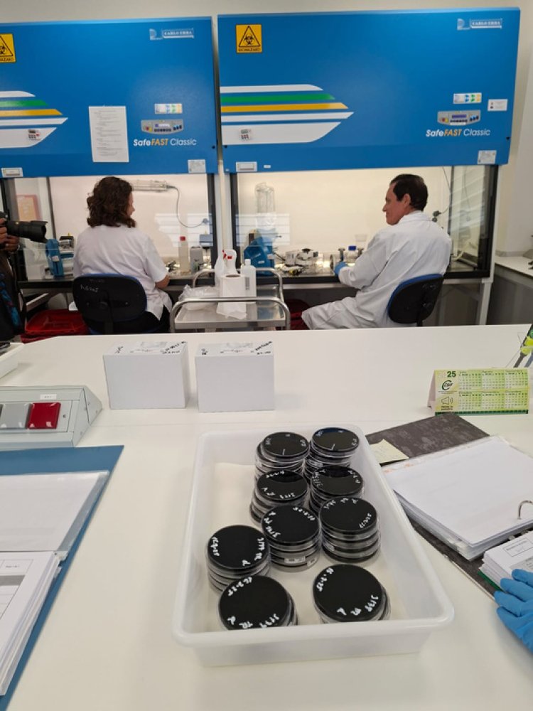 Salud refuerza la prevención de la legionelosis con una nueva campaña informativa y el incremento de inspecciones en verano