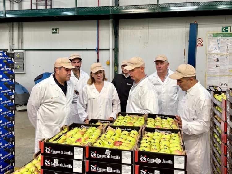 El Gobierno regional impulsa la competitividad del sector hortofrutícola con 89,7 millones de euros en ayudas a los productores