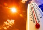 Mazarrón afronta dos jornadas de calor intenso