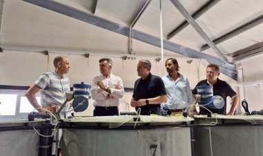 El IMIDA impulsa un nuevo pienso para el mújol de acuicultura con restos del grano de la fabricación de cerveza
