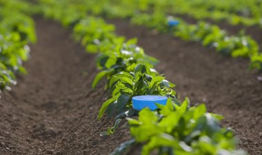 La Región convierte la innovación en su principal respuesta al desafío hídrico