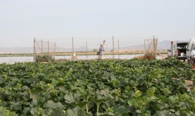 Los datos que ayudan al campo de Mazarrón a ahorrar agua